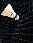 A shuttlecock hits a badminton net