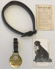 What's Changed? 11. Objects relating to Mac the Dog, including his collar and Merit Medal from the RSPCA, 1920s