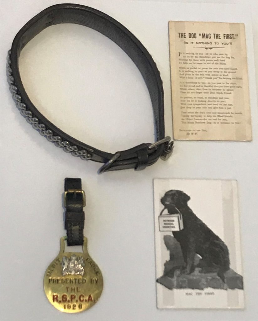 What's Changed? 11. Objects relating to Mac the Dog, including his collar and Merit Medal from the RSPCA, 1920s