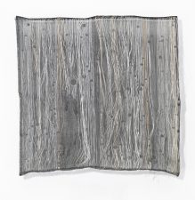 What's Changed? 38. Silver Study, 2011