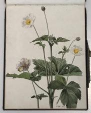 What's Changed? 49. Rochdale Art Society member’s sketchbook, 1889