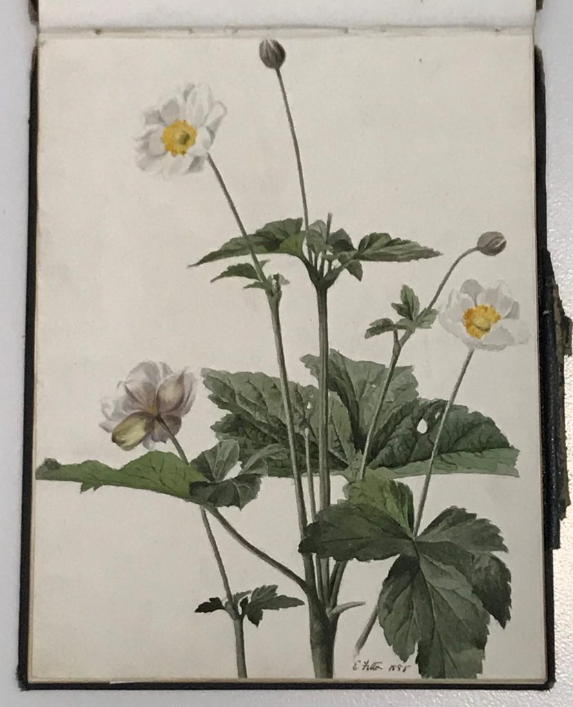 What's Changed? 49. Rochdale Art Society member’s sketchbook, 1889