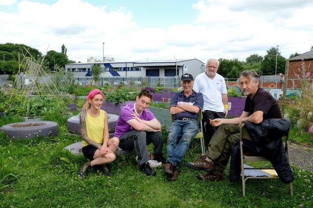Local biodiversity projects receive donations from sales of knitted bees: Petrus PIER group